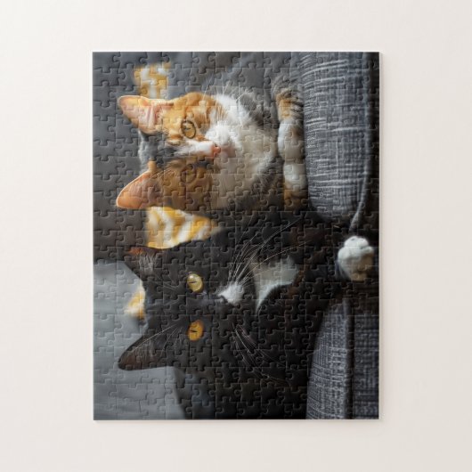 Katten op een bank legpuzzel (Verticaal)