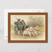 "Katten op een Coach Ride"  Briefkaart (Voorkant / Achterkant)