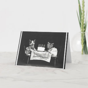  katten op een verjaardagsfeestje kaart