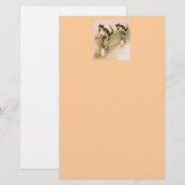  katten op fietsen briefpapier (Voorkant / Achterkant)