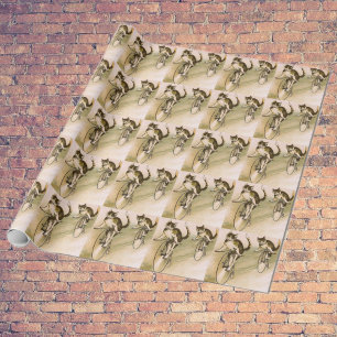 Katten op fietsen cadeaupapier