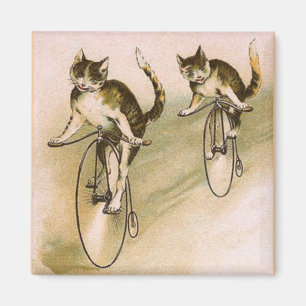 katten op fietsen magneet