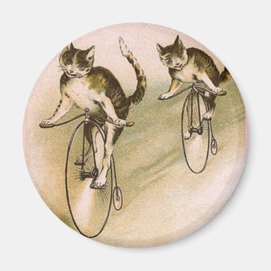  katten op fietsen magneet (Voorkant)