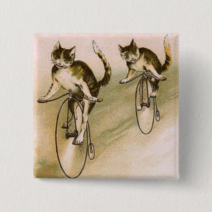  katten op fietsen vierkante button 5,1 cm