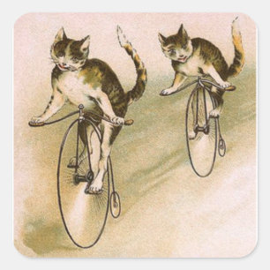  katten op fietsen vierkante sticker