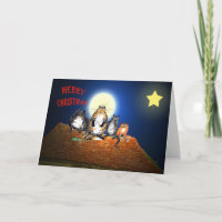 Katten op het dak, Vrolijk kerstfeest, humor