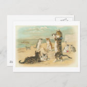 "Katten op het strand" Briefkaart (Voorkant / Achterkant)
