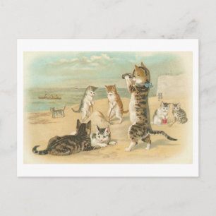 "Katten op het strand"  Briefkaart