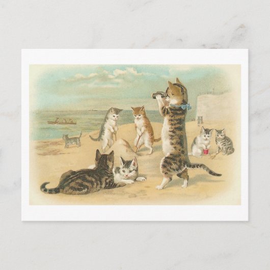 "Katten op het strand" Briefkaart (Voorkant)