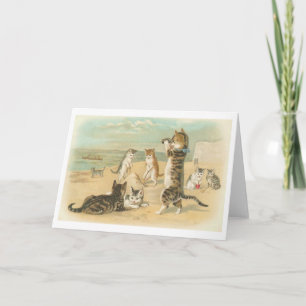 "Katten op het Strand" Vintage Wenskaart Kaart