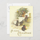  Katten Op Trappen Vrolijke Kerstpost Kaart (Voorkant / Achterkant)