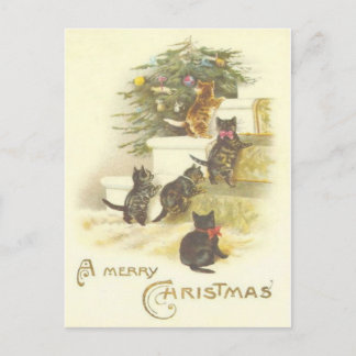 Katten Op Trappen Vrolijke Kerstpost Kaart