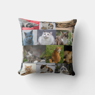 Katten overal kussen