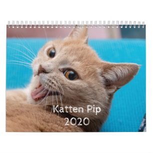Katten Pip - Agenda 2020 Kalender