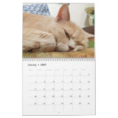 Katten Pip - Calendrier 2020 (Jan 2027)