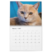 Katten Pip - Calendrier 2020 (Feb 2027)