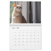 Katten Pip - Calendrier 2020 (Mar 2027)
