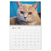 Katten Pip - Calendrier 2020 (Feb 2026)