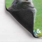 Katten Pono en Paka Lolo Muismat (Hoek)