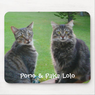 Katten Pono en Paka Lolo Muismat