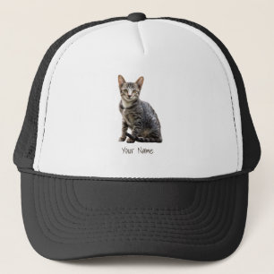 Katten  Portret Pet Tomcat Animal Design