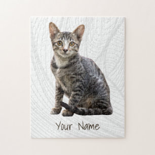 Katten  Portret Pet Tomcat Animal Design Legpuzzel