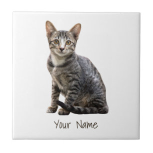 Katten Portret Pet Tomcat Animal Design Tegeltje