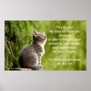 Katten Poster