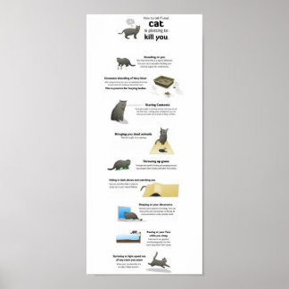 Katten Poster