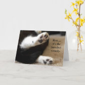 Katten poten worden goed Kaart (Gele Bloem)