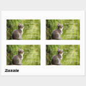 Katten Rechthoekige Sticker (Vel)