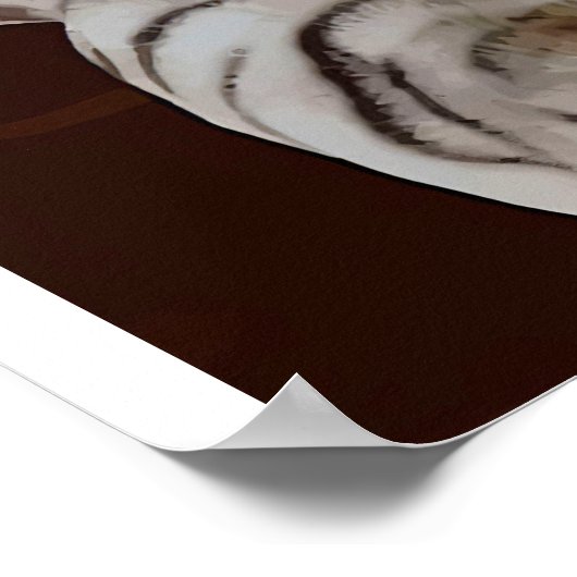 Katten Reflectievloeistof water, grappige katten G Poster (Hoek)