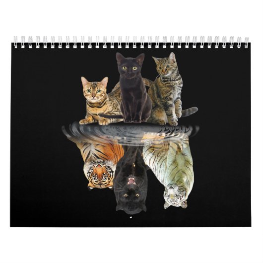 Katten Reflection Friend Cat Lovers Cute Tiger Kalender (Hoes)