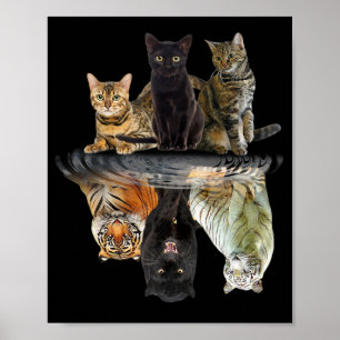 Katten Reflection Friend Cat Lovers Cute Tiger Poster
