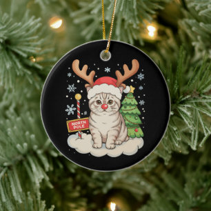 Katten Rendier Geweien Kerstboom Kerstmis Vakantie Keramisch Ornament
