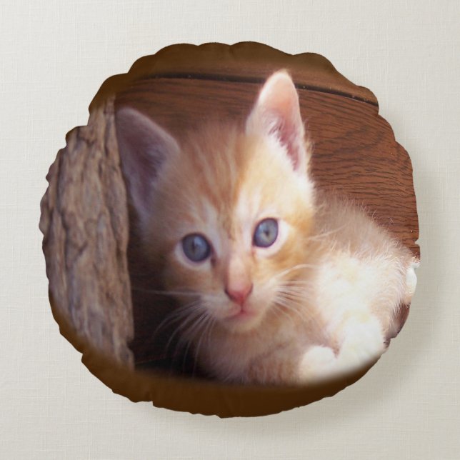 Katten Rond Kussen (Voorkant)