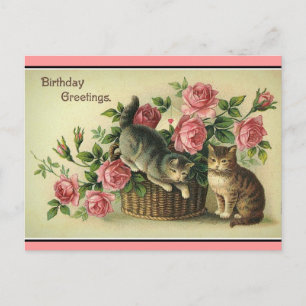 Katten Roze Rozen Bloemenmand-Briefkaart Briefkaart