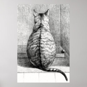 Katten schets kunst tekening vintage poster