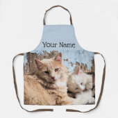 Katten Schort (Voorkant)