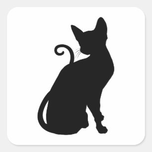 Katten Silhouet Vierkante Sticker