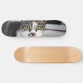 Katten Skateboard (Horizontaal)