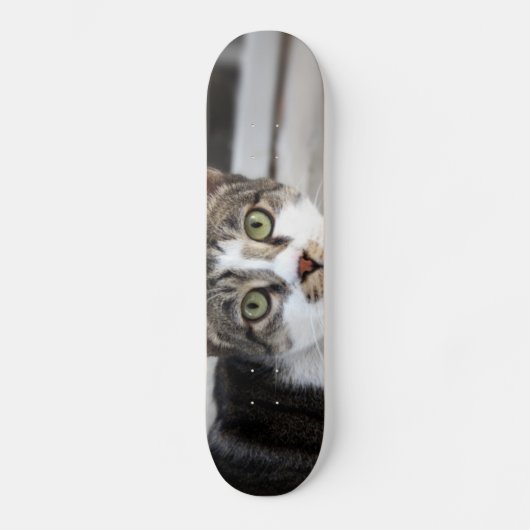 Katten Skateboard (Voorkant)