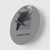 Katten slaap klok (Hoek)