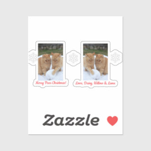 Katten Sneeuwbal, Afbeelding Namen Tekst, Aanpasse Sticker