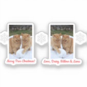 Katten Sneeuwbal, Afbeelding Namen Tekst, Aanpasse Sticker (Voorkant)
