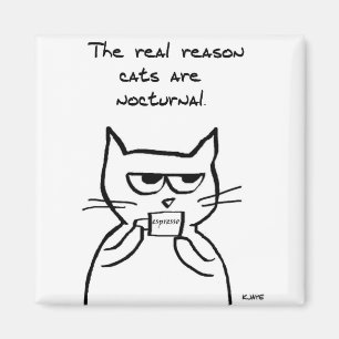 Katten staan 's nachts op. magneet