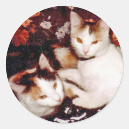 Katten Sticker