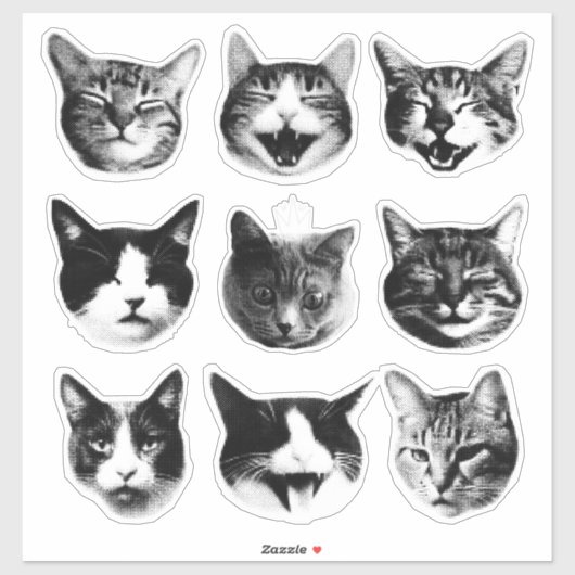 Katten Sticker (Vel)