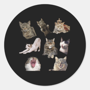 Katten Stickers
