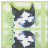 Katten Stof (Close Up)